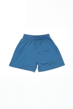 Blue sports shorts with an elastic waistband, featuring a simple design and a logo on one side.