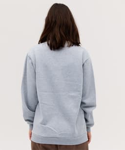 A grey hoodie with a loose fit, featuring a simple design and long sleeves. The back view is displayed.