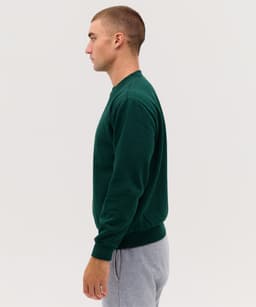 A green sweater is displayed on a model, featuring a crew neckline and long sleeves, paired with grey pants.