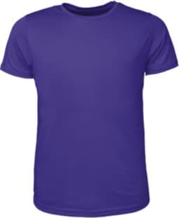 A purple men's brushed tee shirt with a classic crew neck design and short sleeves. Features a logo on the front.