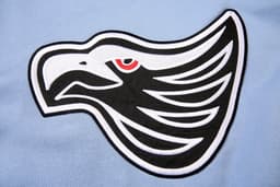A light blue fabric featuring a prominent embroidered black and white eagle design with red detailing.