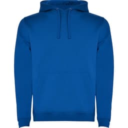 A blue hooded sweatshirt featuring a front pocket and drawstring hood. It has a logo on the front.