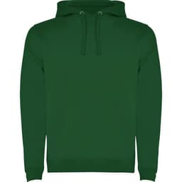 A green hooded sweatshirt featuring a front pocket and adjustable drawstring hood. It includes a logo.