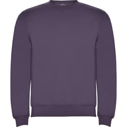 A purple sweatshirt features a crew neck and long sleeves, with a logo on the front.