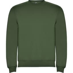 A green sweatshirt featuring a crew neckline and ribbed cuffs, with a logo on the inside label.