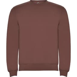 A brown sweatshirt with a round neckline and long sleeves. It has a simple design and a brand logo on the neck.