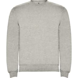 A grey sweatshirt featuring a crew neck design, with long sleeves and a subtle logo.