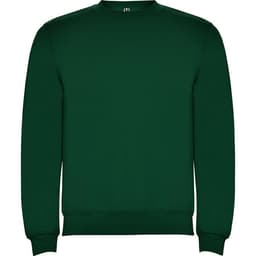 A green sweatshirt with a crew neckline and ribbed cuffs, featuring a logo on the neckline.
