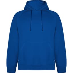 A blue hooded sweatshirt with a kangaroo pocket and a drawstring hood. It features a logo.