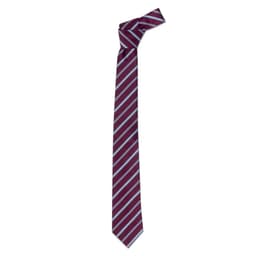 A maroon cravat tie with white and light blue diagonal stripes, featuring a pointed end and knotted at the top.