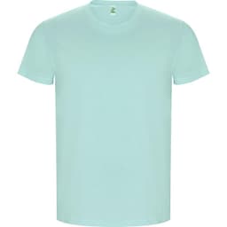 A mint green t-shirt with a classic crew neck and short sleeves. It features a logo on the label.