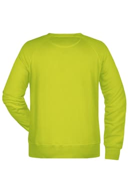 A vibrant lime green men's jumper with a simple design and a standard crew neck. It features a logo on the back.