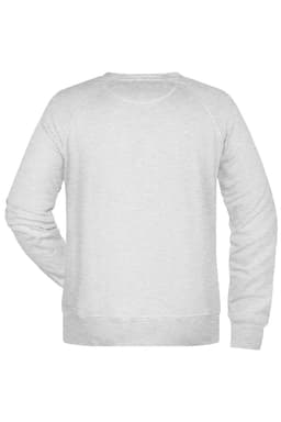 A grey men's sweatshirt featuring a simple design and a logo on the back. The fabric appears soft and comfortable.