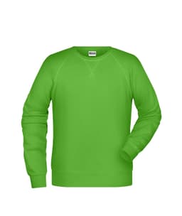 A green men's jumper with long sleeves and a round neckline. It features a logo on the label.