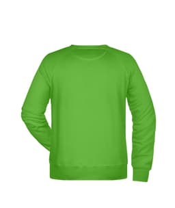 A green men's sweatshirt with a crew neckline and long sleeves, featuring a logo on the back.