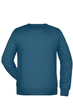 A men's blue sweatshirt with a crew neck and long sleeves, featuring a plain back and a logo.