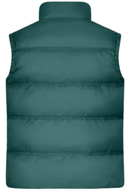 A teal men's winter vest with a padded design and high collar, featuring a logo on the back.
