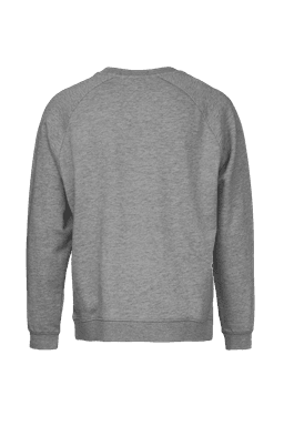 A grey sweatshirt with a crew neckline and long sleeves, featuring a simple design on the back.