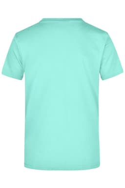A mint green T-shirt with a round neckline and short sleeves. It features a logo on the back.