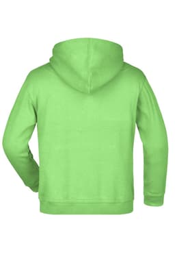 A green hooded sweatshirt featuring a back view. The garment has a hood and a branded label.
