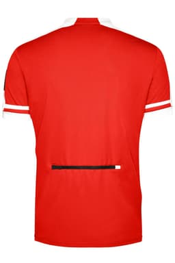 A red men's half zip bike shirt featuring white stripes and a back pocket. Includes a logo on the sleeve.