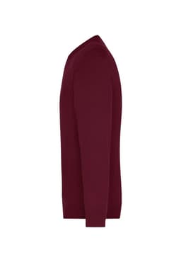 A maroon men's V-neck pullover jumper with long sleeves and fitted design. It features a logo on the side.