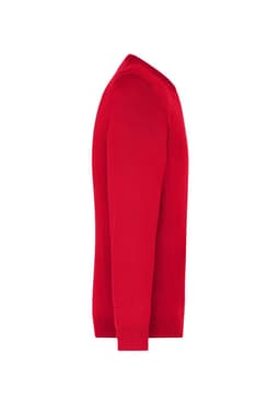 A red men's V-neck pullover jumper featuring long sleeves and a fitted design. It has a logo on the side.