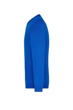 A bright blue men's V-neck pullover, showing a side view with long sleeves. It features a logo on the garment.