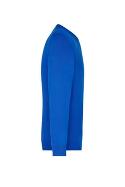 A blue men's V-neck pullover jumper displayed from the side, featuring long sleeves and a snug fit.