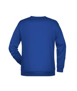 A blue jumper featuring a plain design and a back view. It includes a logo.
