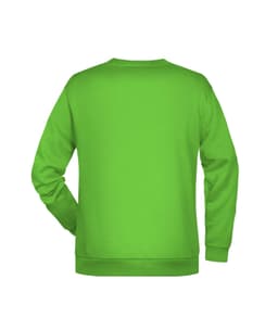 A bright green jumper with a crew neck and long sleeves, featuring a branding logo on the back.
