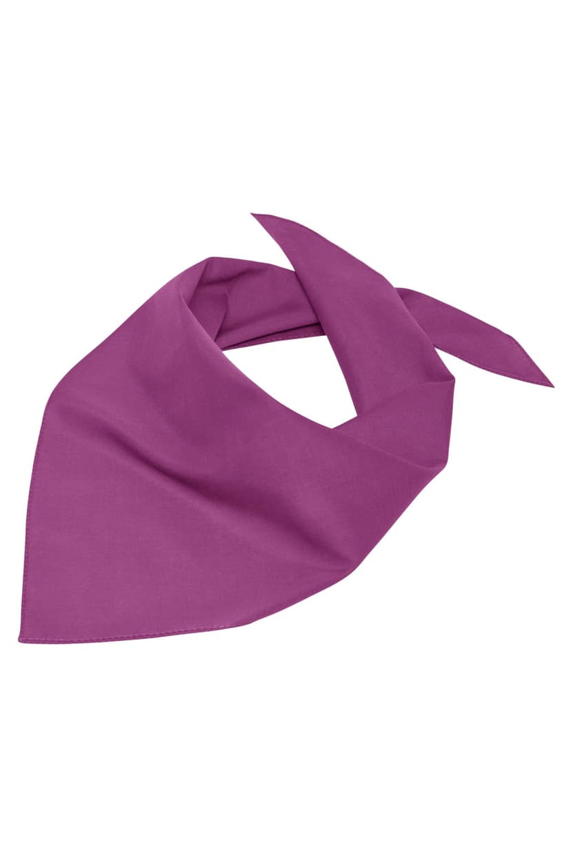 mb6524-triangular-scarf-lilac-unisex.37235_master.jpg