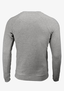 A grey men's sweatshirt without a hood, featuring a simple design and a back view. It has a logo.