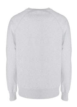 A grey sweatshirt with a crew neck and long sleeves, featuring a simple design and a branding logo.