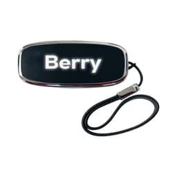A sleek black and silver Berry LED flash drive with a keyring attachment. It features a logo on the front.