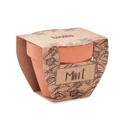 A terracotta pot with a cardboard sleeve featuring a floral design, labelled "Mint".