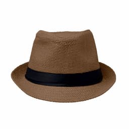 A brown fedora hat with a black band, featuring a textured fabric design.