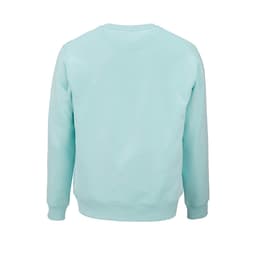 A mint green unisex crew neck sweatshirt made from organic cotton and rPET, featuring a logo on the front.