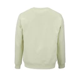 A pale green unisex crew neck sweatshirt made from organic cotton and rPET with a logo. The back view is displayed.
