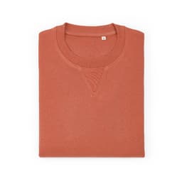 A folded crew neck sweatshirt in a warm terracotta hue, made from 100% organic cotton, featuring a logo.