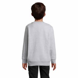 A grey sweatshirt for kids, featuring a round neck and long sleeves, shown from the back. It has a logo on the back.