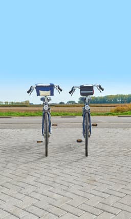 Polyester (600D) bicycle cooler bag