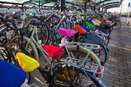 Polyester (190T) bicycle seat cover