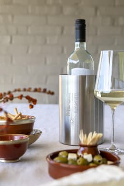 Stainless steel wine cooler