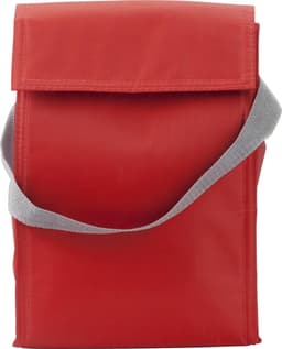 Polyester (420D) cooler/lunch bag