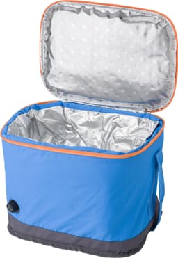 Polyester (50D) cooler bag