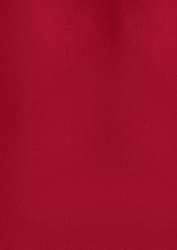 A plain short sleeve shirt in a rich red colour, featuring a logo on the fabric.