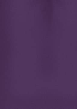 A plain short sleeve women's shirt in a rich purple colour, featuring a minimalistic design and a logo.