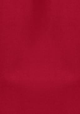 A plain red tunic featuring a simple design, suitable for uniforms and casual wear. It includes a branding logo.