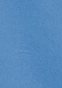 A light blue women's button-up shirt with short sleeves, featuring a logo.